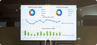 Business intelligence dashboard displaying monthly and annual sales and expense reports, supporting Scrift's data analytics and business intelligence services.